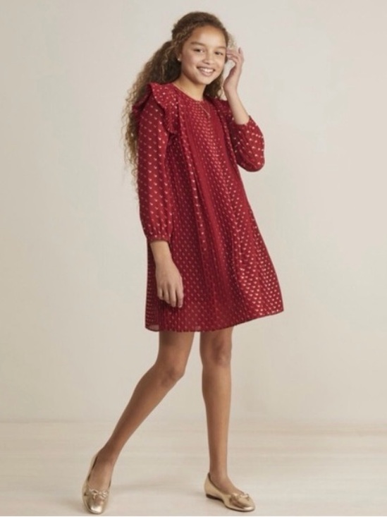 Vineyard Vines Other - Vineyard Vines Girl's Pleated Long Sleeve Dress - Red/Gold - Large